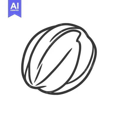 Aset premium populer: Simple black and white illustration of a single seed or nut