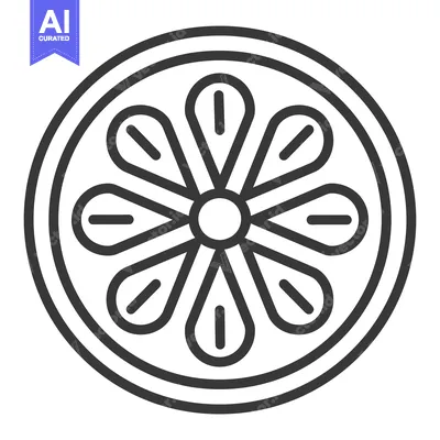 Aset desain premium: A simple black and white illustration of a citrus fruit slice