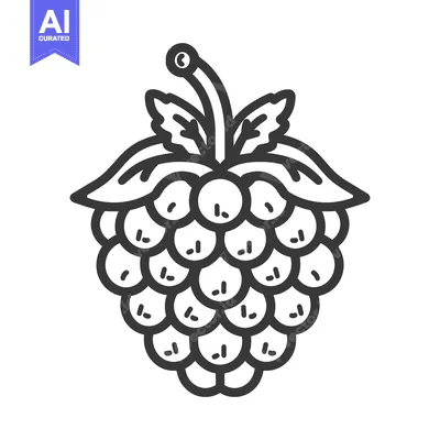 Aset premium populer: Black and white outline illustration of a ripe raspberry plant