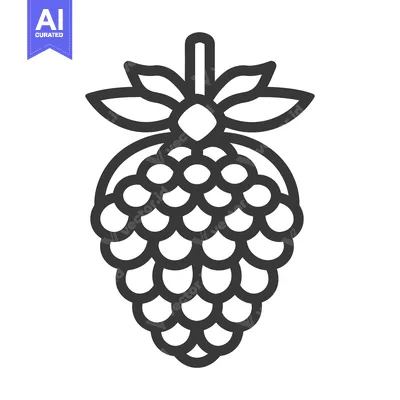 Aset premium populer: A simple outline graphic depiction of a ripe raspberry fruit