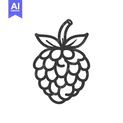 Aset premium populer: A simple black and white illustration of a raspberry fruit