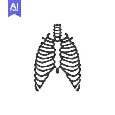Premium design asset: A minimalistic illustration depicting a human ribcage in black color