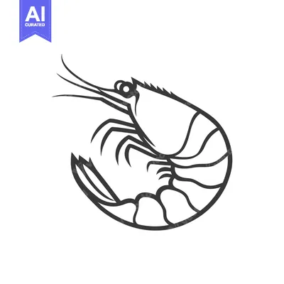 Aset desain premium: A detailed black and white illustration depicting a curled shrimp