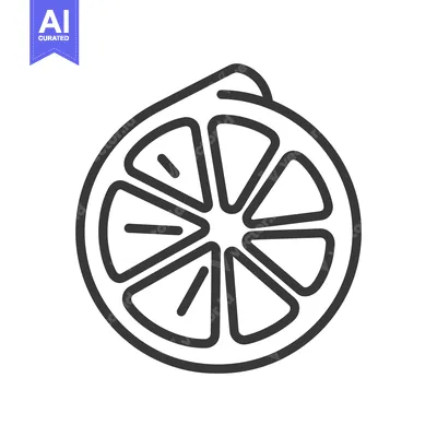 Aset desain premium: A simple outlined illustration of a citrus fruit slice