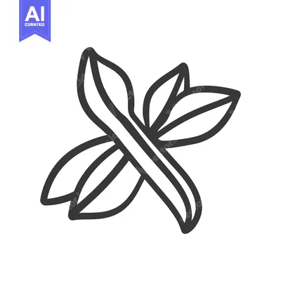 Premium design asset: A simple outline illustration of vanilla bean pods and leaves