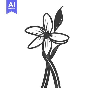 Popular premium asset: A monochrome flower illustration with leaves and stems displayed