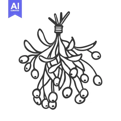 Aset desain premium: A detailed black and white illustration of hanging mistletoe