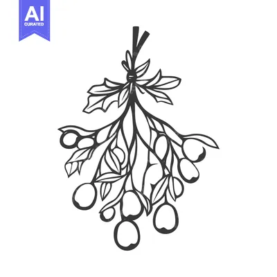 A simple drawing of hanging branches with leaves and fruits
