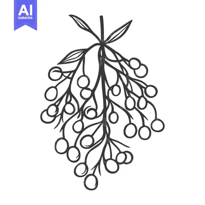 Aset premium populer: An artistic illustration depicts a cluster of berries on branches