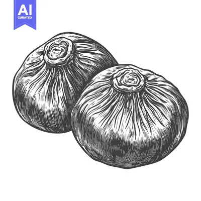 Popular premium asset: Two figs illustrated in a vintage style black and white drawing