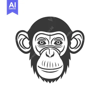 Aset desain premium: A detailed monochrome illustration of a chimpanzees head