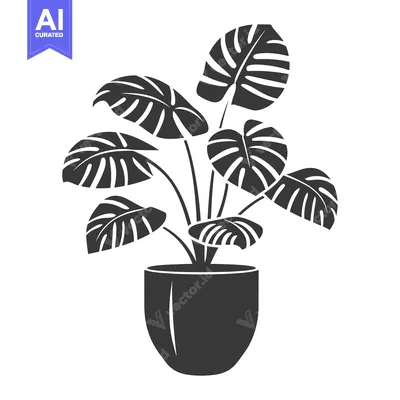 Popular premium asset: Monstera Deliciosa Plant In Pot Silhouette