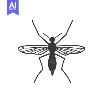 Aset premium populer: A black and white vector illustration of a mosquito insect
