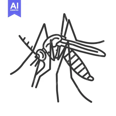 Premium design asset: A simple illustration of a mosquito in black lines
