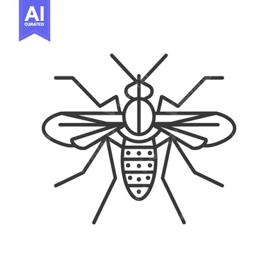 Aset desain premium: Detailed black and white line drawing of an insect with wings