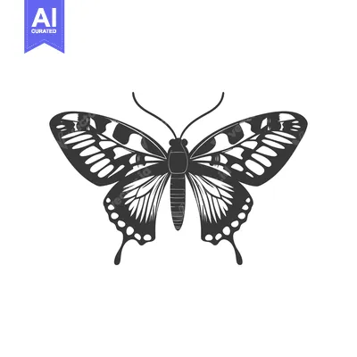 Aset desain premium: A stylized black and white illustration of a butterfly