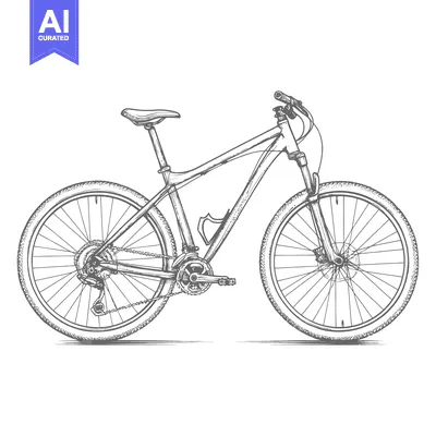 Popular premium asset: A Detailed Black And White Sketch Of A Bicycle