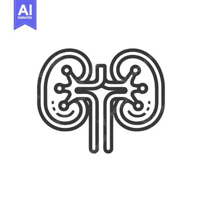Premium design asset: Minimalist Kidney Icon: Human Organ Anatomy, Medical Symbol, Line Art