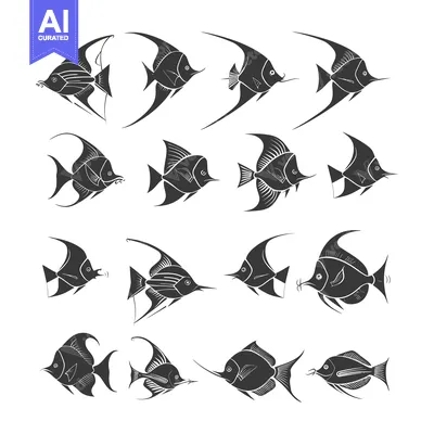 Aset premium populer: A Collection of Black and White Angelfish Illustrations