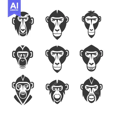 Premium design asset: Nine Stylized Monkey Faces in Black and White