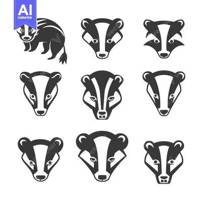 Aset premium populer: Set of black and white badger icons and silhouette