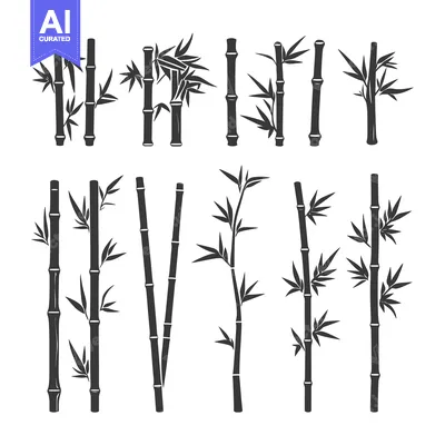 Aset desain premium: Black and White Silhouettes of Various Bamboo Plants