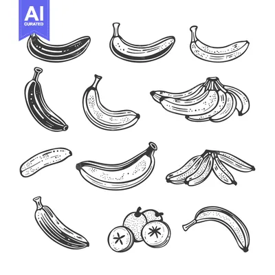 Aset premium populer: Hand-Drawn Sketches of Bananas in Various Stages of Ripeness