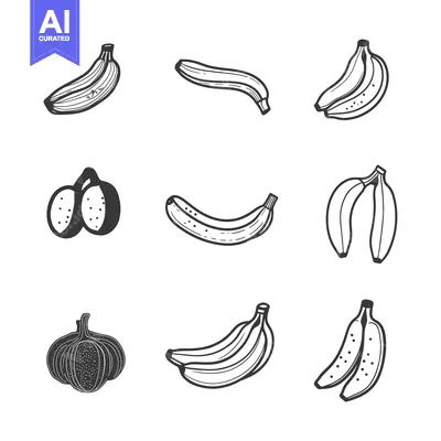 Aset premium populer: Hand-drawn illustrations of bananas and garlic