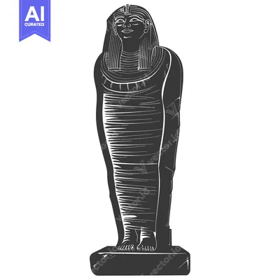 A Black and White Illustration of an Ancient Egyptian Mummy in a Sarco