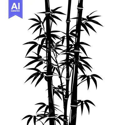 Black and White Silhouette of Bamboo Stalks and Leaves