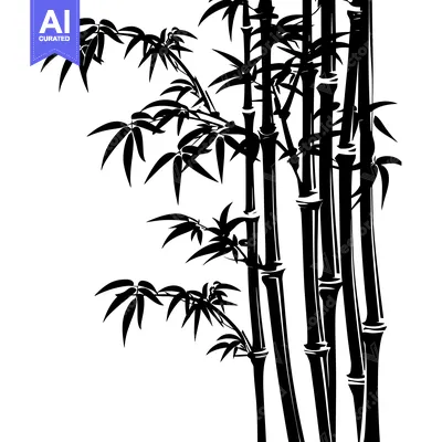 Aset premium populer: Black and White Silhouette of Bamboo Stalks and Leaves