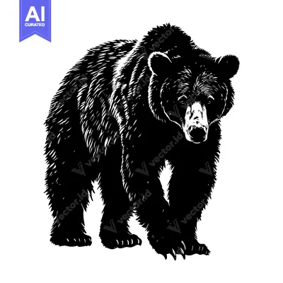 Aset premium populer: A Black and White Illustration of a Standing Bear