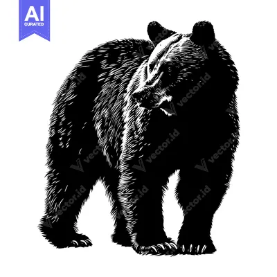 Aset premium populer: Black and White Line Art Illustration of a Grizzly Bear