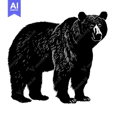 Popular premium asset: A Black and White Illustration of a Bear Standing on a White Backgroun