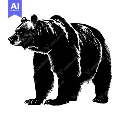 Aset premium populer: Black and White Illustration of a Standing Bear
