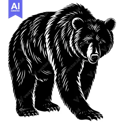 Aset premium populer: Black and White Illustration of a Grizzly Bear