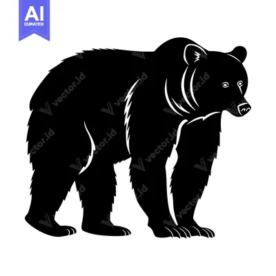 Aset premium populer: Silhouette of a Standing Black Bear