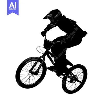 Aset premium populer: Silhouette of a BMX Rider in mid-air on a bicycle