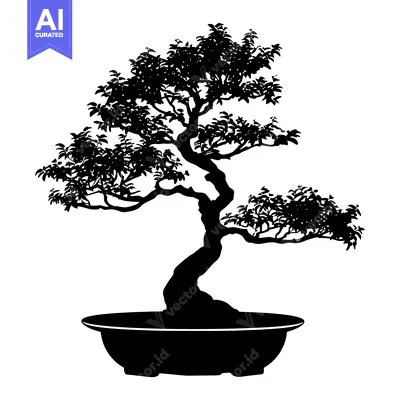 Aset premium populer: Silhouette of a bonsai tree in a pot