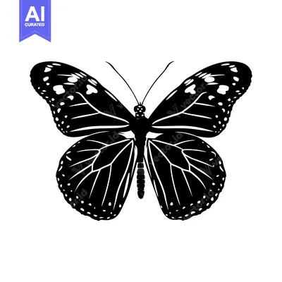 Aset premium populer: Black and White Silhouette of a Butterfly with Detailed Wings