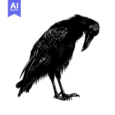 Aset premium populer: Black and White Silhouette of a Crow with Head Down