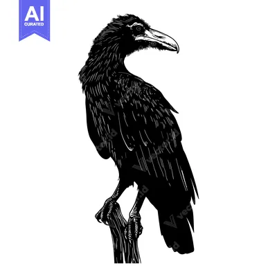 Aset premium populer: A Black Raven Perched on a Branch in Silhouette