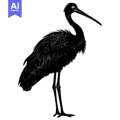 Popular premium asset: Black and White Silhouette of a Bird with Long Legs and a Long Beak