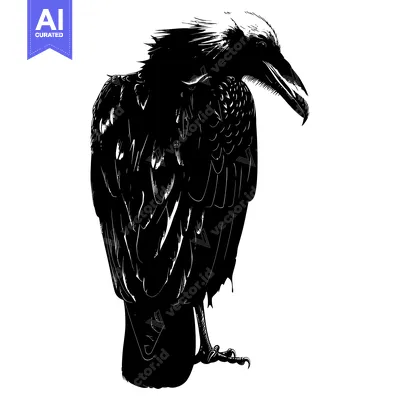 Premium design asset: A Black and White Illustration of a Raven Standing on One Leg