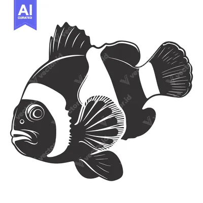Aset desain premium: Black and White Illustration of a Clownfish