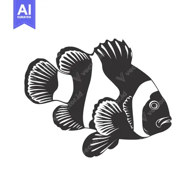 Premium design asset: Black and White Illustration of a Clownfish