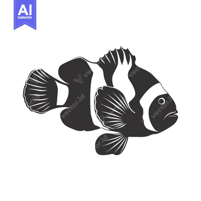 Aset desain premium: Black and White Illustration of a Clownfish