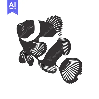 Black and White Silhouette of a Clownfish