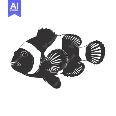 Aset premium populer: Black and White Silhouette of a Clownfish