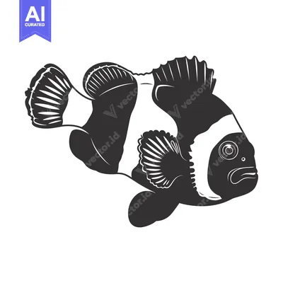 Popular premium asset: Black and White Illustration of a Clownfish